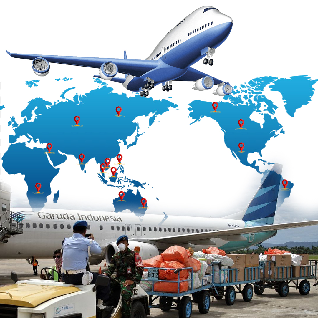 sekilas tentang DHEX International